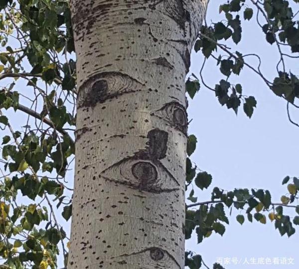 如何让孩子乐于写作文？从追求“有意思”到实现“有意义” 1