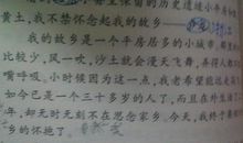 写给二十年后的蒋赏 写给二十年后的自己作文300字