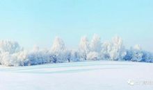 【作文素材】【小学作文素材】描写冬天的雪优美作文句子