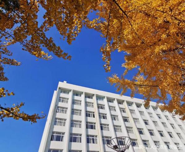 如何让孩子乐于写作文？从追求“有意思”到实现“有意义”