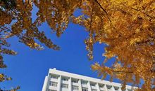 如何让孩子乐于写作文？从追求“有意思”到实现“有意义”