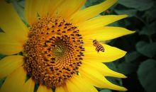 初一月考优秀作文：最温暖的的记忆