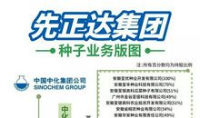 材料作文“两家图书馆迥异的做法”导写