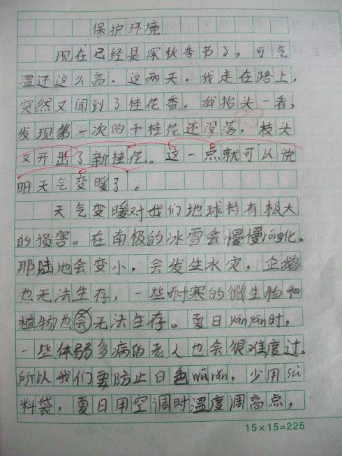 我的初中老师 我的数学老师作文500字