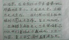 我的初中老师 我的数学老师作文500字