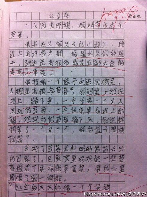 保护蛋宝宝 三年级叙事作文400字