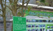 校园的桂花树 四年级校园一景作文500字