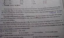 圣诞节英语作文50字