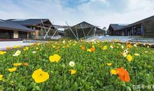 三年级作文：一次快乐的春游