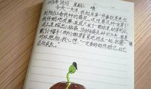 向日葵播种活动 小学生观察种子日记2则