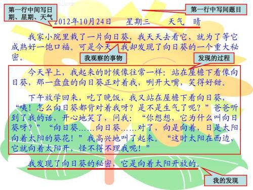 播种向日葵观察日记 小学生观察日记3则