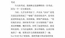 考试之最 五年级记叙文300字