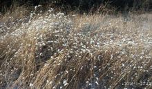 再走藏龙涧散文