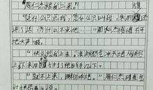 高一写人作文：被忽略的她_900字