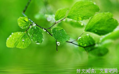 初三状物作文：泥土香_600字
