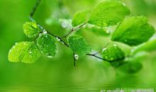 初三状物作文：泥土香_600字