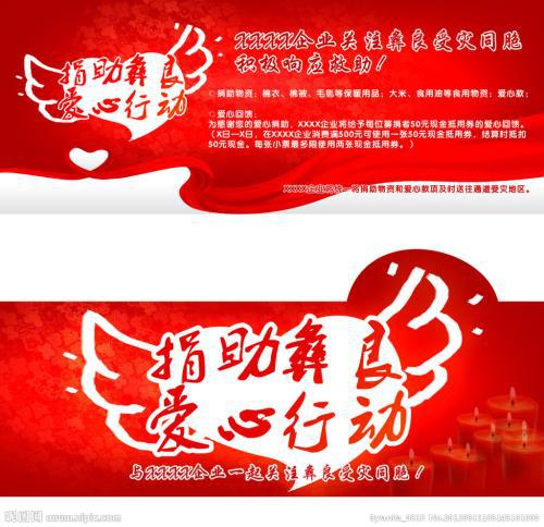 捐款 一个特别的日子300字作文