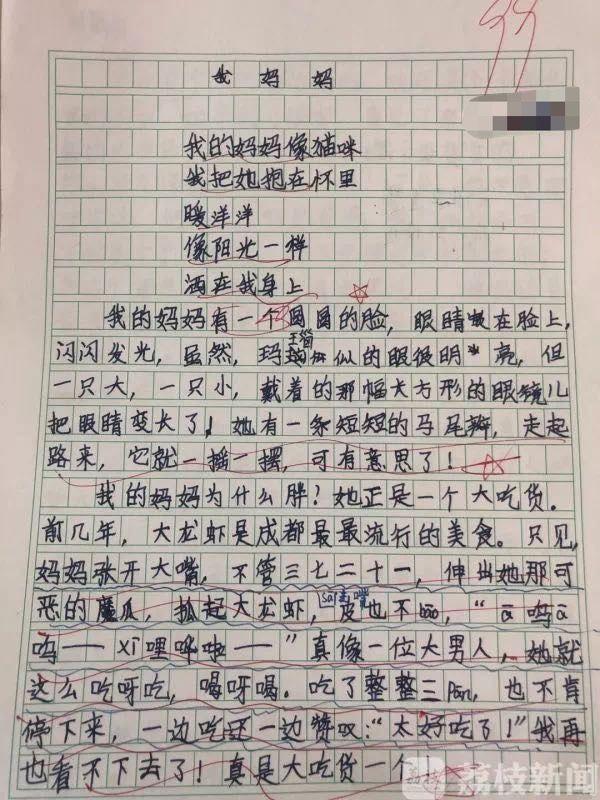 “妈妈不化妆,样子可丑了!”小学生作文花式“损”亲妈 3