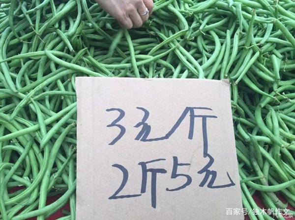 五年级作文:买菜记