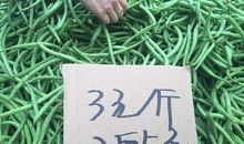 五年级作文：买菜记