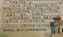 初三状物作文：小白兔的故事_700字