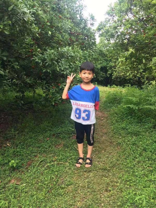这是一个万载双桥小学生的作文，却火遍朋友圈！