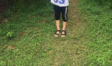 这是一个万载双桥小学生的作文，却火遍朋友圈！