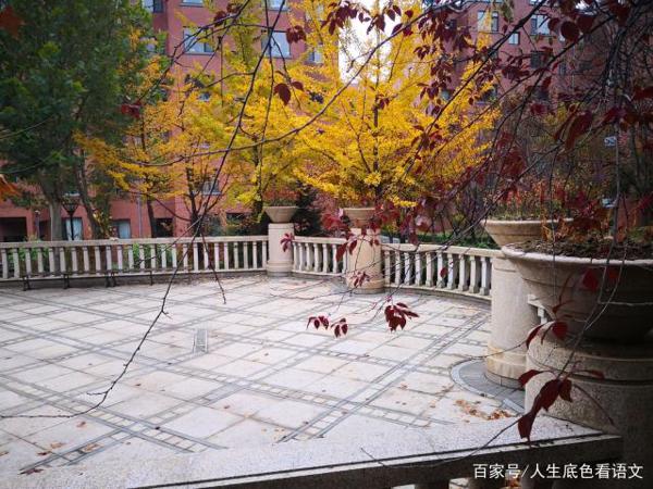 中考语文作文拿分三板斧之以情动人,打动阅卷老师才算真正拿分
