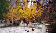 中考语文作文拿分三板斧之以情动人，打动阅卷老师才算真正拿分