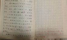 初三状物作文：小白兔_700字