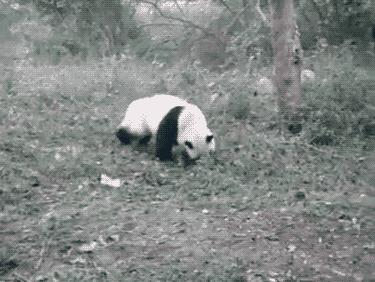 “我爸就是一头懒惰的猪,睡觉还打呼!”,小学生作文笑翻网友 8