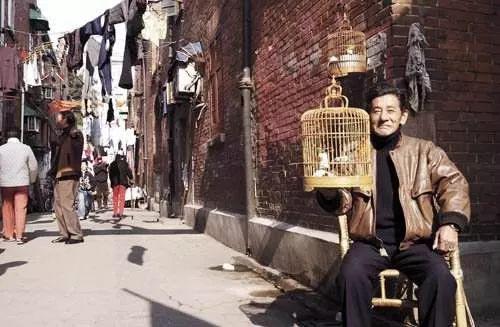 这，就是好作文！第33届上海市中学生作文竞赛初赛作品精选（11） 3