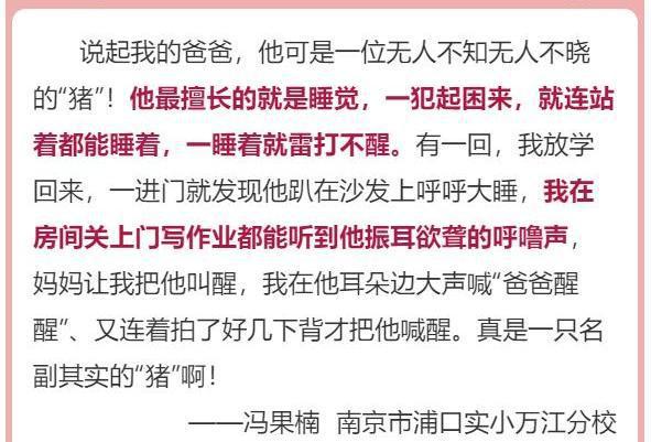 “我爸就是一头懒惰的猪,睡觉还打呼!”,小学生作文笑翻网友 1