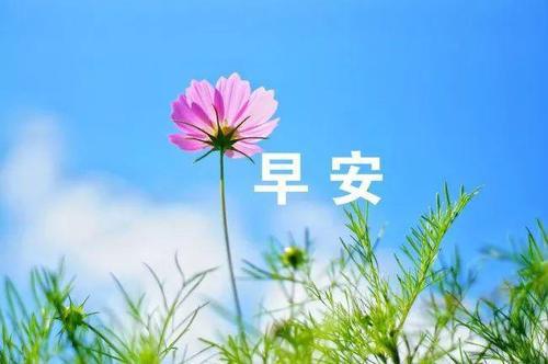 关于早安的祝福短信