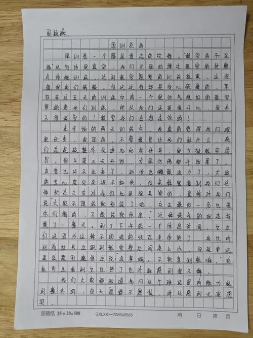 新高中军训心得体会