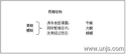 三年级科学《常见的动物》教案