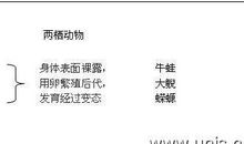 三年级科学《常见的动物》教案