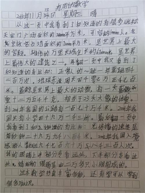 生存训练日记 四年级记叙文400字