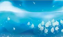 帅作文|大海与水滴