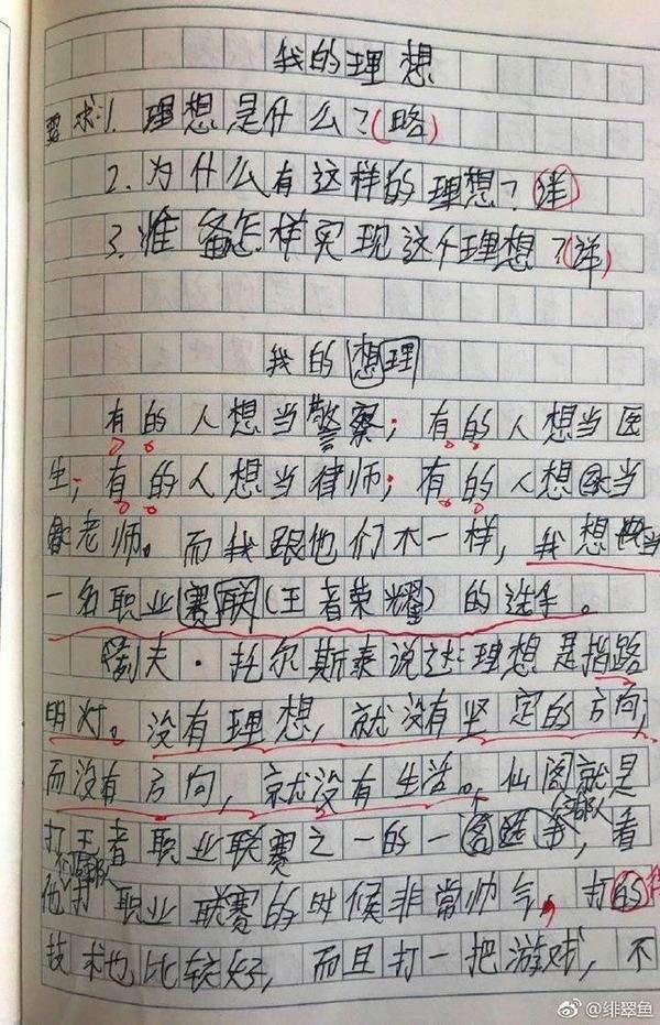 王者荣耀被写进作文 这些小学生真是太有才了 1