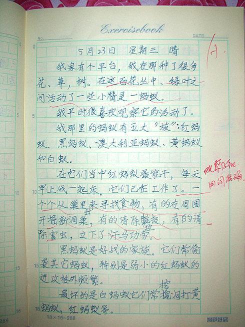 端午节作文 三年级端午节作文300字