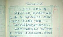 端午节作文 三年级端午节作文300字