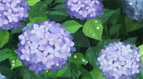 原创学生作文：《水仙的生长》