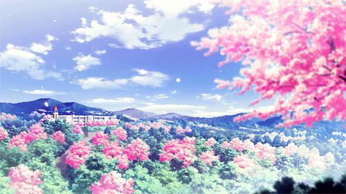 原创学生作文：《水仙的生长》 1
