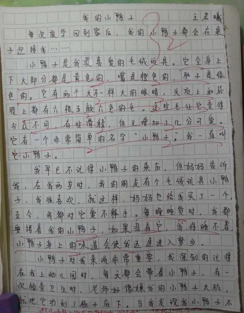 接力比赛 小学生日记400字