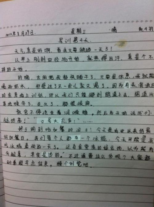 生存日记第二天 小学生军训日记300字