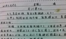 生存日记第二天 小学生军训日记300字