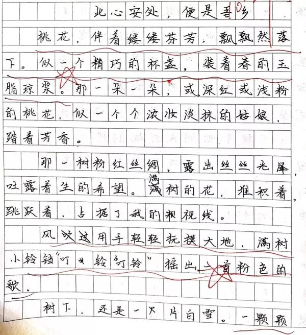 作文起步｜我在意的不是作文，而是心 2
