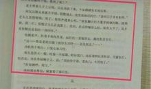 新概念作文大赛一获奖文章构成抄袭，获奖者被取消成绩