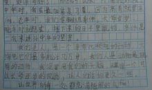 踢毽子比赛 激动人心的比赛300字作文